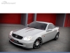 SPOILER DELANTERO MERCEDES SLK R170 LOOK CARBONO