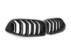 PARRILLA DELANTERA DOBLE LAMA BMW SERIE 8 G14 G15 G16 2018-2022 - NEGRO MATE