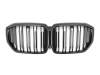 PARRILLA DELANTERA PARA BMW X5 G05 2023-- NEGRO BRILLO