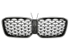 GRELHA DIANTEIRA DIAMANTE LED PARA BMW X3 G01 / X4 G02 LCI 2021-- PRETO BRILHO